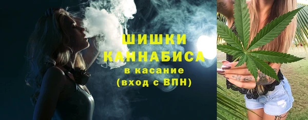 сатива Армянск