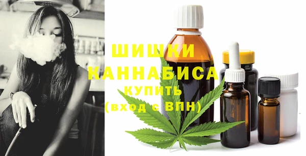 ГАЛЛЮЦИНОГЕННЫЕ ГРИБЫ Арсеньев