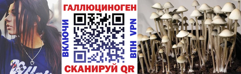 как найти наркотики  Ревда  Псилоцибиновые грибы Psilocybine cubensis 