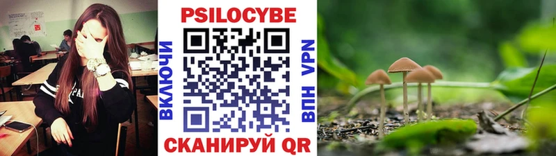 Галлюциногенные грибы прущие грибы Ревда